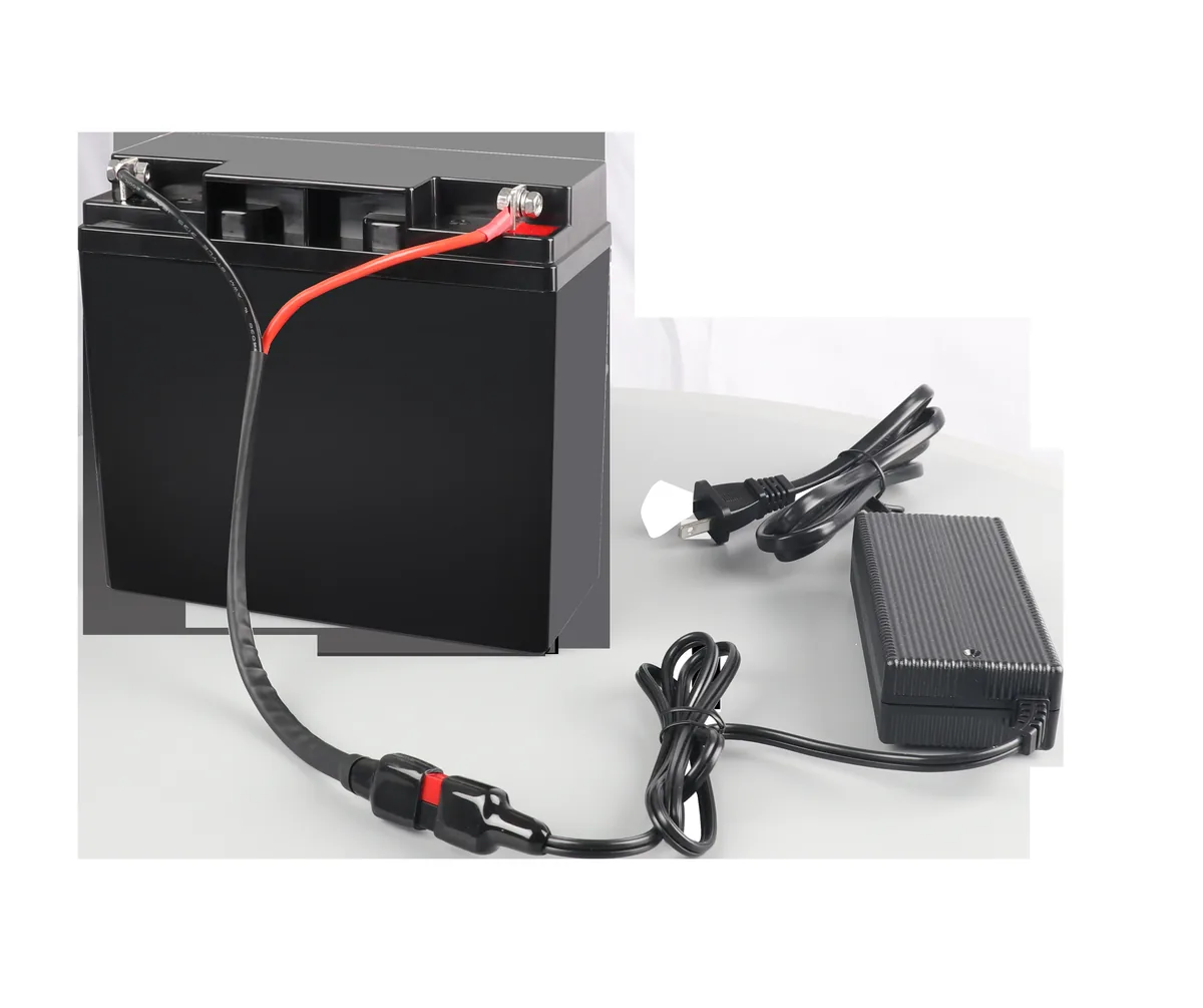 12V20AH 12V 20AH Baterya ng industriya Product detail image 4